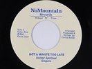 Modern Soul Gospel 45 - United Spiritual Singers - Not A Minute Too Late - rare