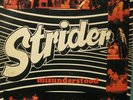 Strider Misunderstood NEAR MINT GM Records Vinyl LP