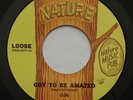 Funk Soul Fuzz LOOSE Got To Be Amazed / Fantasy VG++ NATURE 45 MP3
