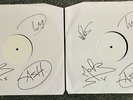 Teenage Wildlife (25 Years Of Ash) - Test Pressings (Signed)