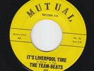 teen frat rock 45 THE TEAM-BEATS - It's Liverpool Time (Mutual) rare  vg+ mp3