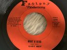 GARY WEY Unknown Utah  Private Press PSYCH FUZZ 45 1970s HEAR
