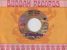 VG+ Funk 45 PROMO - BILLY DAVIS - Stanky (Get Funky) / I've Tried BUDDAH LISTEN