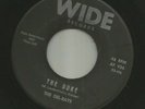 ROCKABILLY SURF INSTRO bw POPCORN VOCAL -DEL-RAYS -THE DUKE  -HEAR -1964 WIDE