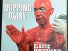 Tripping Daisy I am an Elastic Firecracker 1995 Rare promo copy Polyphonic Spree