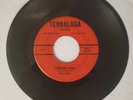 THE KIDS JORDAN LAND FALSE ILLUSIONS TENNALAGA RARE  GARAGE PEABODY HERMITAGE