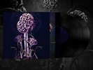 Blut Aus Nord - Hallucinogen Vinyl