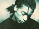 Terence Trent Darby - Introducing The Hardline According To Vinyl