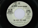 THE JIMI HENDRIX EXPERIENCE The Wind Cries Mary Stereo / Mono PROMO 45 7