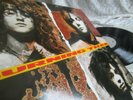 BURNING TREE ? SAME ? OFFENSICHTLICH UNGESPIELT MINT FIRSTPRESS 1990 PSYCH METAL
