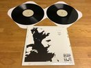 RICH ROBINSON, THROUGH A CROOKED SUN, 2LP Vinyl 2011 Gatefold, NEW/UNPLAYED,