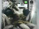 Venom Prison - Samsara LP NEW