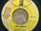 THE HELLIONS - I Need Somebody / GARAGE NICARAGUA 45 Question mark