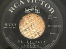 CESAR COSTA y MATEMATICOS - El Salvaje / WILD GARAGE SHAKE MEXICO 45 ecuador