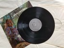 Jimmy Campbell - Half Baked - Vinyl Album LP