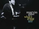 Marvin Gaye: What's Going On Live (2 LPs)