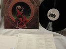 GRATEFUL DEAD - Blues For Allah - Original LP w/ Insert  Vinyl EX /Cover VG+