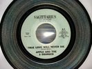 Apple And The Three Oranges - True Love Will Never Die Vg+ Rare Sweet Soul 45
