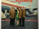 The SKYLINERS Calico CLP 3000 strVG Degritter
