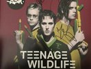 *SIGNED* ASH - Teenage Wildlife Greatest Hits 25 Years Of Ash Double Vinyl LP