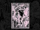 RASPBERRY BULBS-BEFORE THE AGE OF MIRRORS (UK IMPORT) VINYL LP NEW
