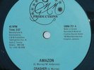 Rare Digi Roots Reggae - CRASHER - AMAZON - BAD MOON RISING - G M M   7