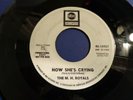 THE M.H. ROYALS  Now she's crying  ABC 10957 Org 1967 GARAGE FUZZ 45 PROMO
