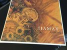 TIAMAT Wildhoney 2LP Orange 2014 Sealed