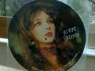 Kate Bush interview picture disc vinyl album