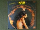 The 31 Flavors Hair Rare Hard Heavy Psych Rock LP Original 1969 Firebirds Garage