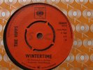 THE VIPPS - WINTERTIME ANYONE 1966 ***RARE CBS MOD/PSYCH***