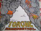 Meanderthal album by Torche record on vinyl LP