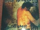 Bruce springsteen The Ghost Of Tom Joad.   Vinyl Album