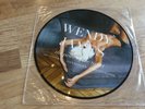WENDY JAMES - THE PRICE OF THE TICKET Picture Disc LP - Limited Edition Signed