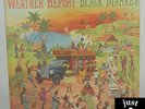 Weather Report ?– Black Market 1976 lp PC-34099 - Jazz - NM/NM