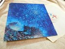 Love - Out Here - BLUE THUMB promo # BTS-9000 - DOUBLE LP  - Near Mint vinyl