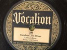Vocalion 1193 Lulu Jackson CARELESS LOVE 78 rpm1928 V+ w sleeve classic Blues