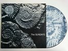 THE SUNDAYS READING WRITING AND ARITHMETIC ROUGH TRADE ROUGH 148P PICTURE DISC