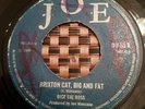 Dice The Boss Brixton Cat, Big And Fat UK 7