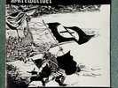 SCREWDRIVER - HAIL THE NEW DAWN vinyl record 12