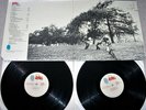Rar LOVE - Out Here  2 LP  1970  FOC USA  Original Blue Thumb BTS 9000