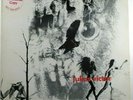 Julius Victor  AJP 5160 Promo  From the Nest  Late 60's East Coast Psych/Prog