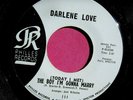 DARLENE LOVE Today I Met The Boy I'm Gonna Marry -super clean 45 rpm Philles 111