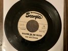 The Golliwogs “Walking On The Water” RARE PROMO 7” 45 EARLY CCR VG+ Scorpio
