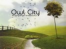 All Things Bright and Beautiful by Owl City (Vinyl, Jun-2011, Universal...