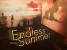 Fennesz - Endless Summer (2 X Vinyl LP)