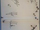 Mumford and sons vinyl, Signed by band