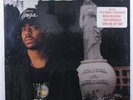 D.O.C. No One Can Do It Better RUTHLESS LP SEALED
