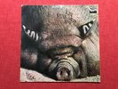 Lp Kin Ping Meh: No.2, Zebra, Krautrock