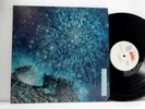 LOVE Arthur Lee Dbl  LP  Out Here 1969  Blue Thumb psych rare